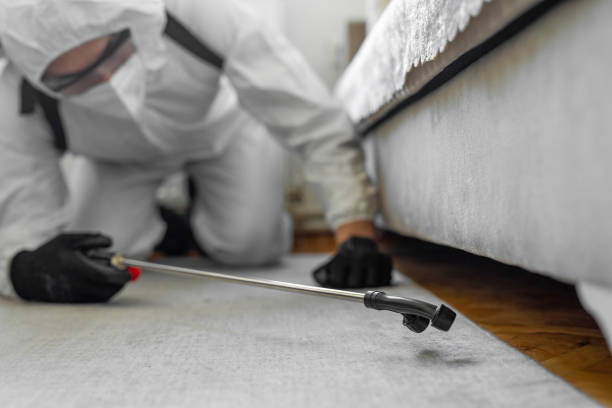Professional Termite Control technician working in Naval Academy, MD