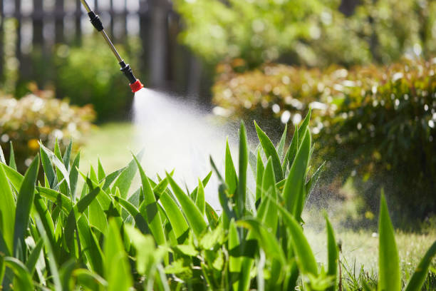 24/7 Emergency Termite Control experts in Naval Academy, MD