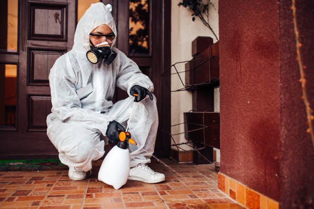 Reliable Termite Control contractor in Naval Academy, MD by Nex Pest Control